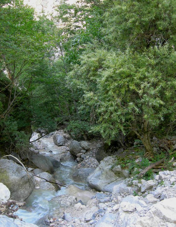 risalita del Torrente Centa.......terza parte