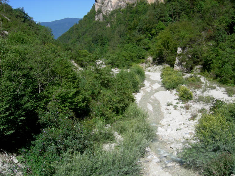 risalita del Torrente Centa.......seconda parte