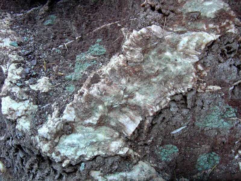 Sentiero geologico 