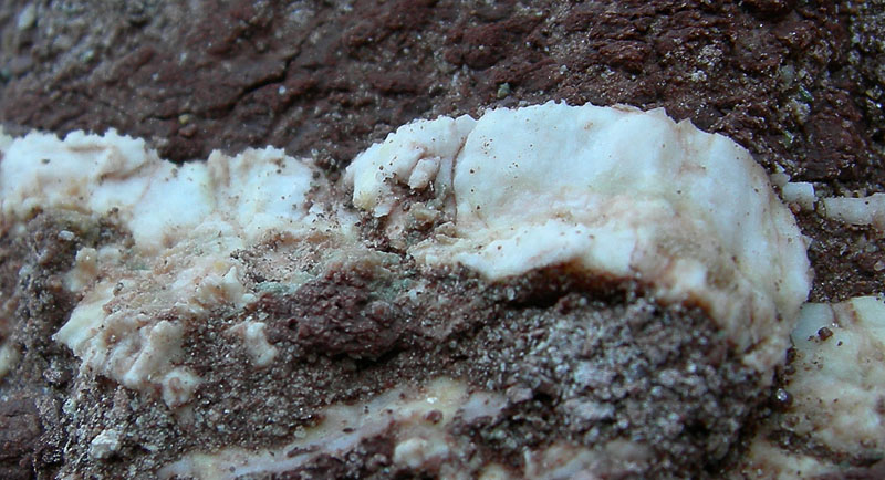 Sentiero geologico 