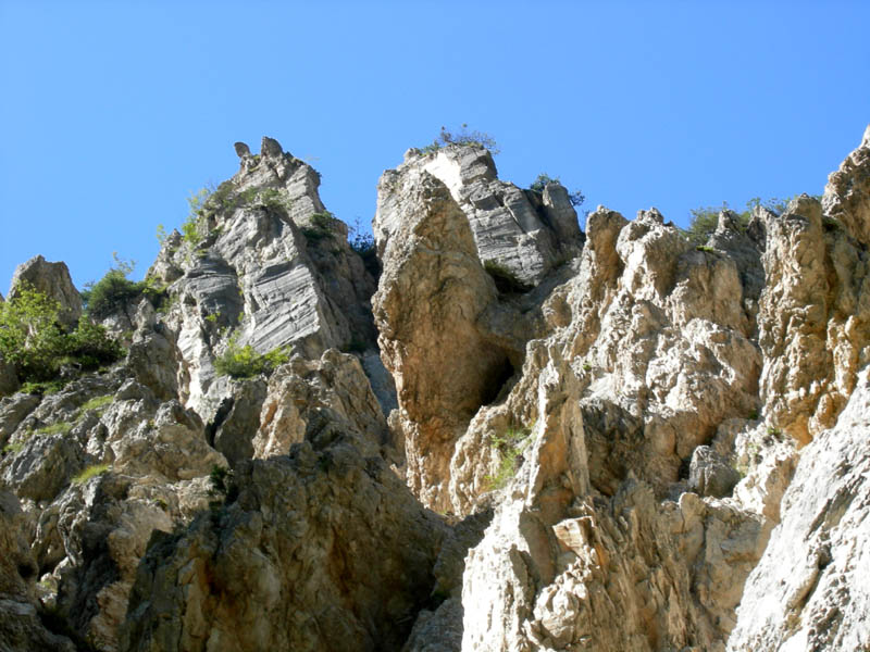 risalita del Torrente Centa.......seconda parte