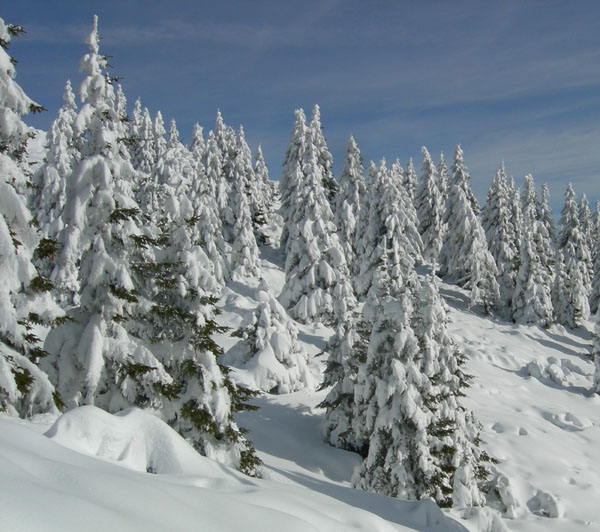 Cornetto m.2060....della Vigolana