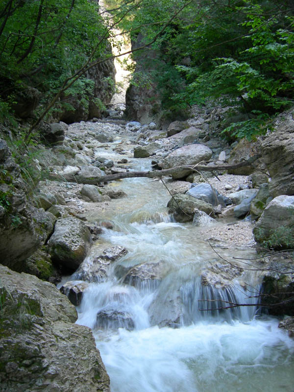 risalita del Torrente Centa.......terza parte