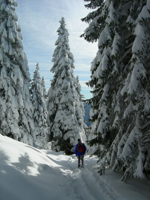 Cornetto m.2060....della Vigolana