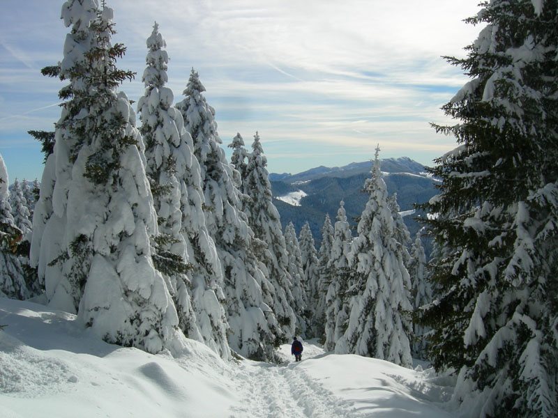 Cornetto m.2060....della Vigolana