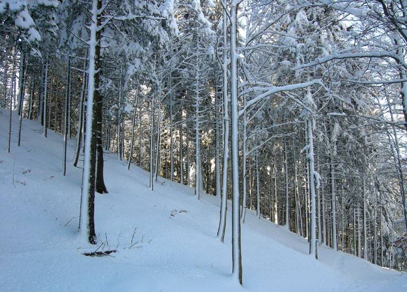 Cornetto m.2060....della Vigolana