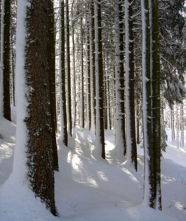 Cornetto m.2060....della Vigolana