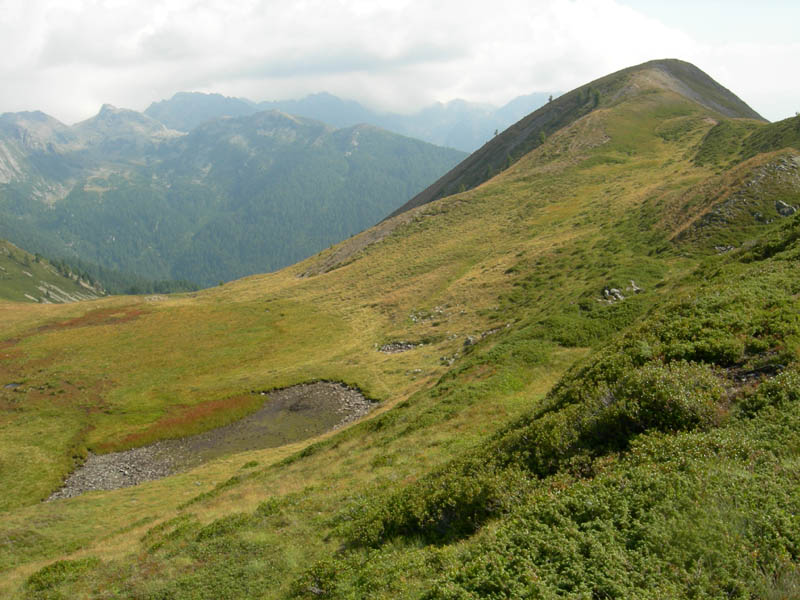 Cimon di Busa della Neve  m. 2574.......escursione