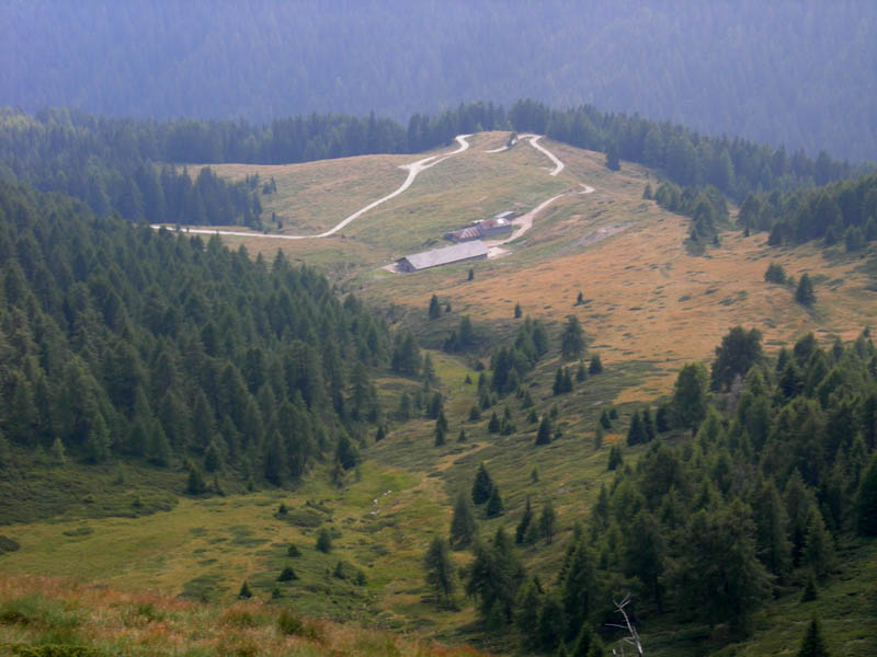 Cimon di Busa della Neve  m. 2574.......escursione