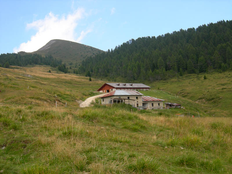 Cimon di Busa della Neve  m. 2574.......escursione