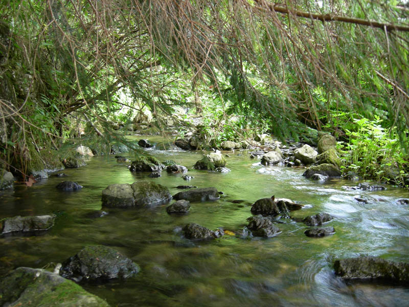 alle sorgenti del Torrente Centa.....prima parte