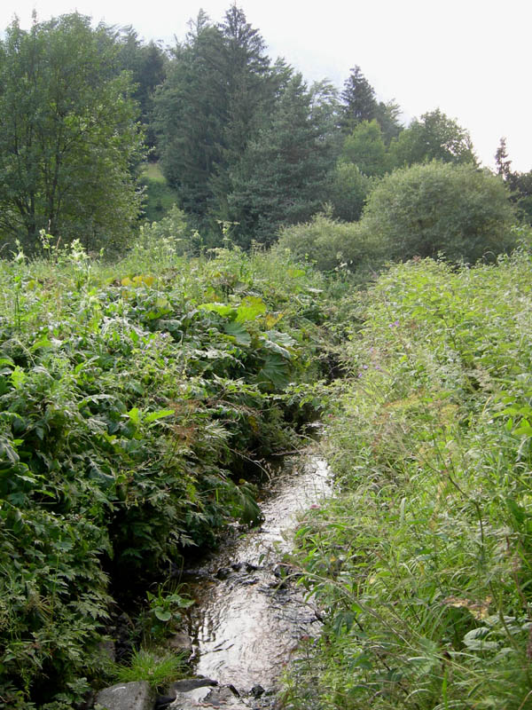 alle sorgenti del Torrente Centa.....prima parte