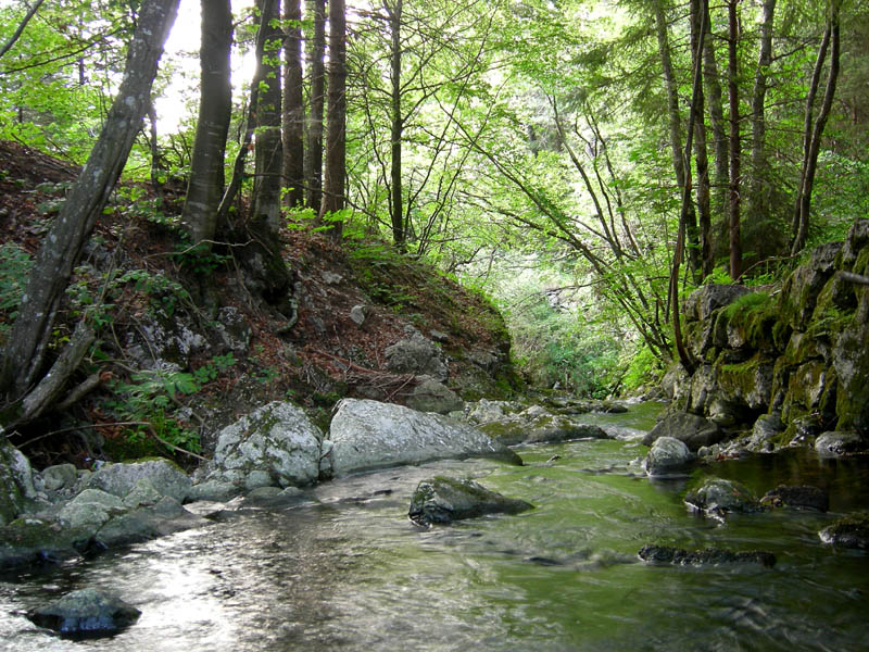 alle sorgenti del Torrente Centa.....prima parte