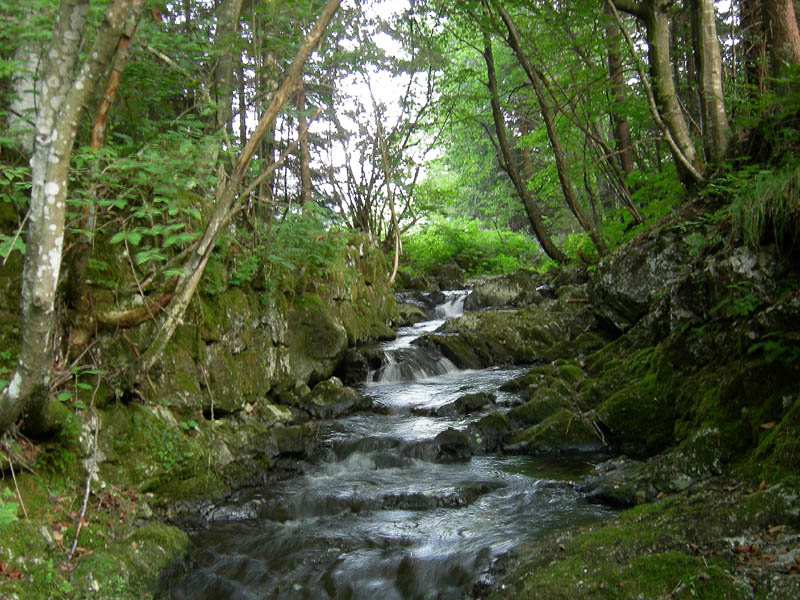 alle sorgenti del Torrente Centa.....prima parte