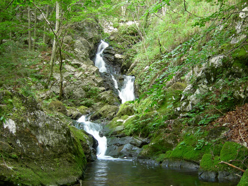 alle sorgenti del Torrente Centa.....prima parte