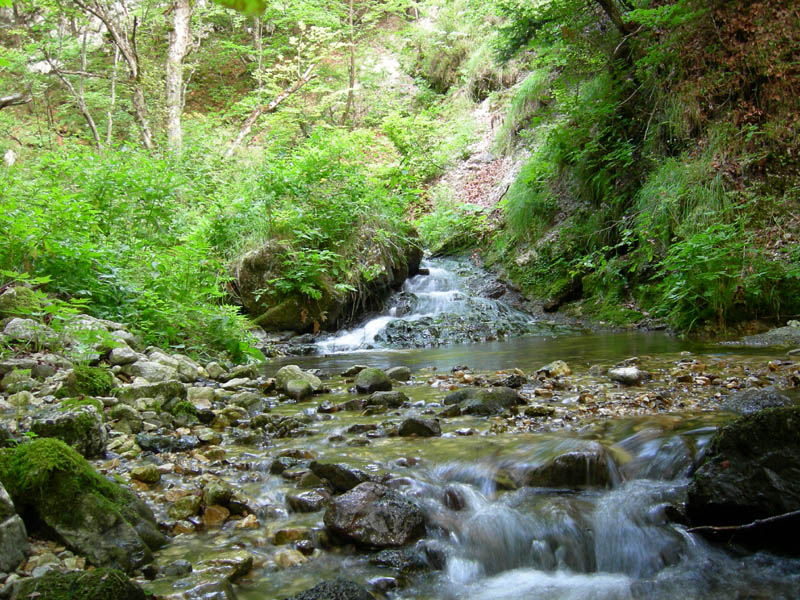 alle sorgenti del Torrente Centa.....prima parte