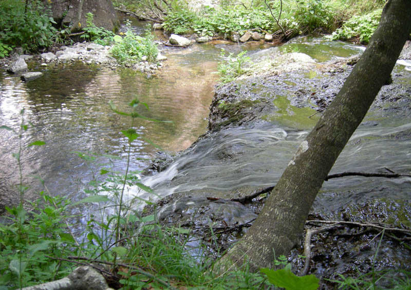 alle sorgenti del Torrente Centa.....prima parte