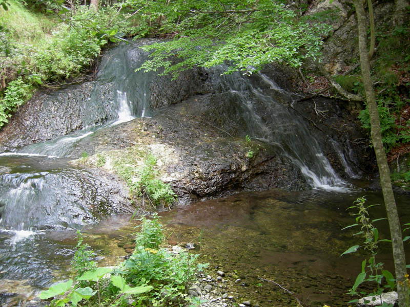alle sorgenti del Torrente Centa.....prima parte