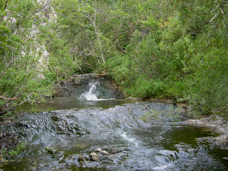 alle sorgenti del Torrente Centa.....prima parte