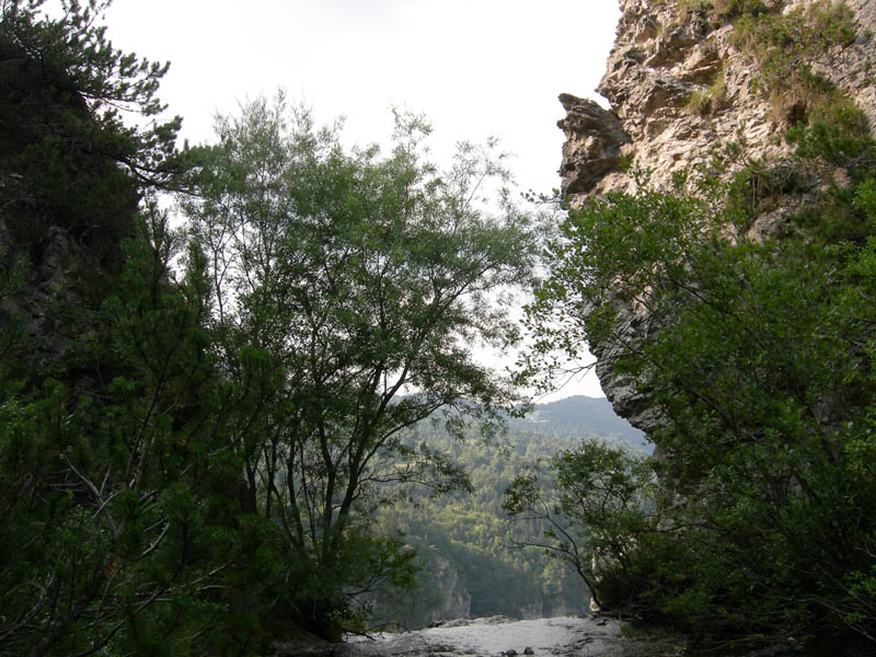 alle sorgenti del Torrente Centa.....prima parte