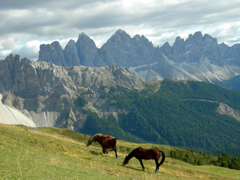 Nel....Gruppo della Plose