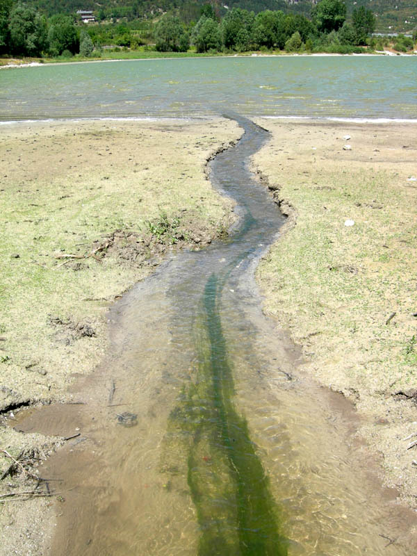 il caldo si fa sentire ?