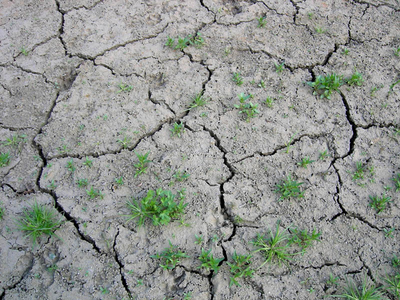 il caldo si fa sentire ?