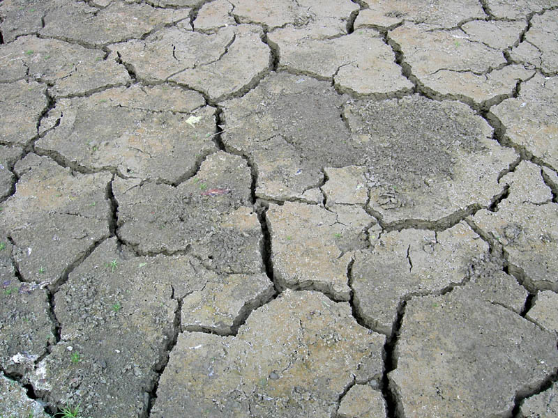 il caldo si fa sentire ?