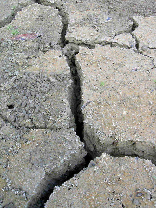 il caldo si fa sentire ?