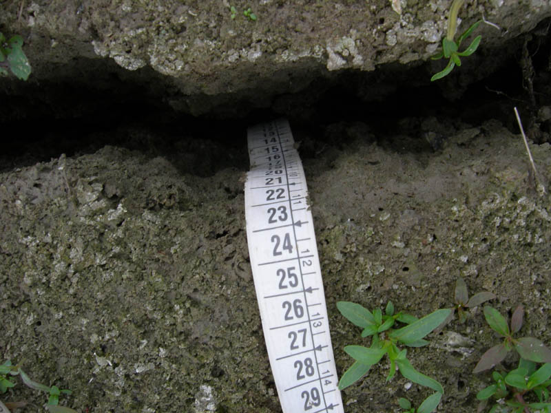 il caldo si fa sentire ?