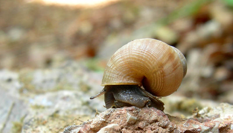 riassunto......di una giornata favolosa