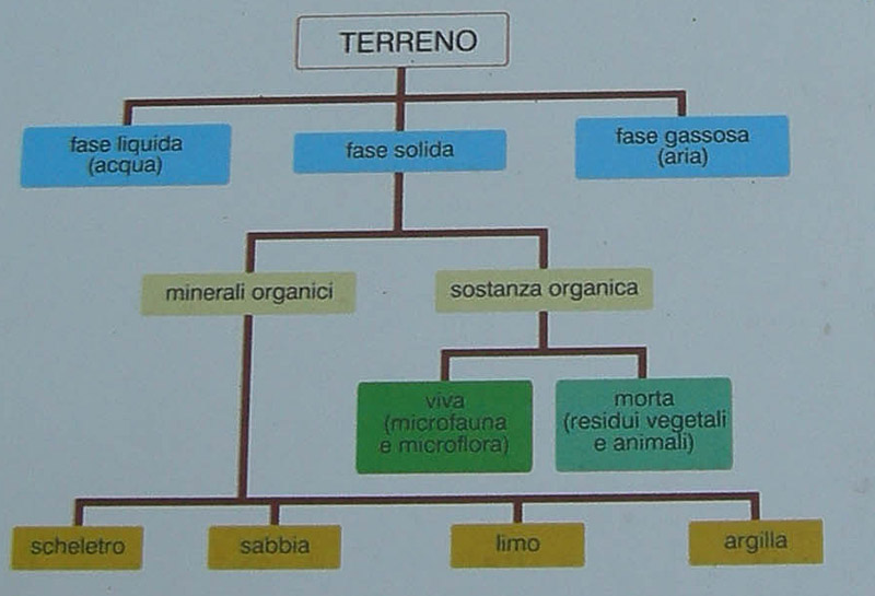 risalita del Torrente Centa.......seconda parte