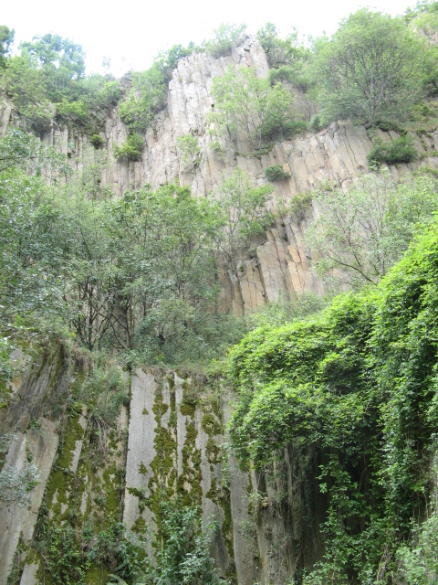 Cava di riolite colonnare sugli Euganei