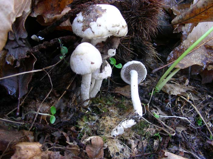 ritrovamenti del 15.12.07