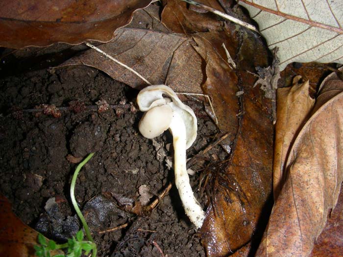 ritrovamenti del 15.12.07