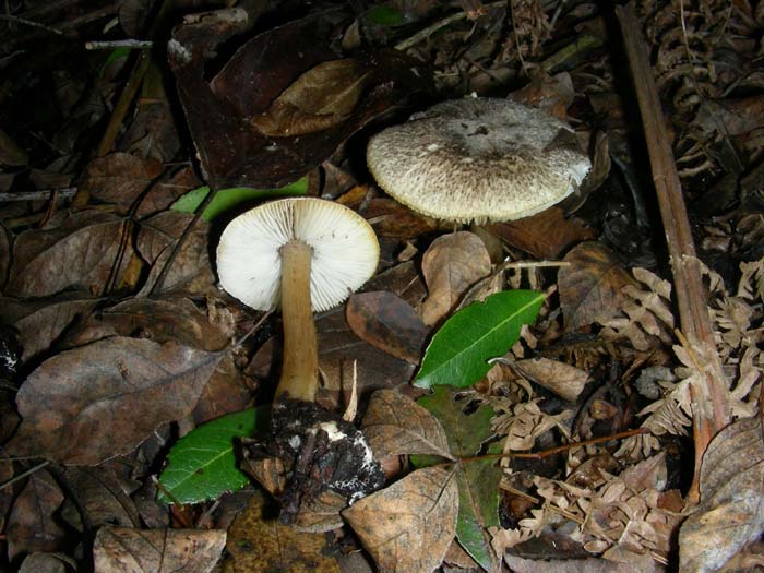 altri ritrovamenti del 14.12.07