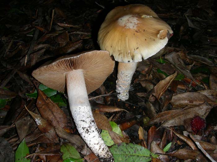 altri ritrovamenti del 14.12.07