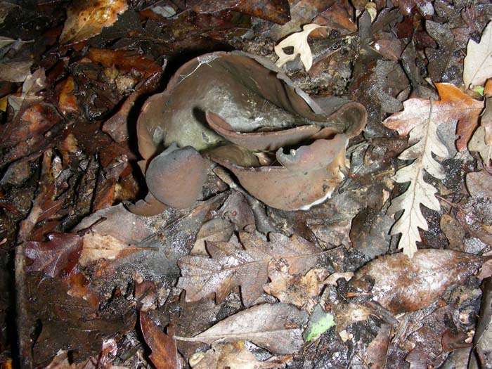 altri ritrovamenti del 14.12.07