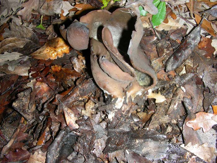 altri ritrovamenti del 14.12.07