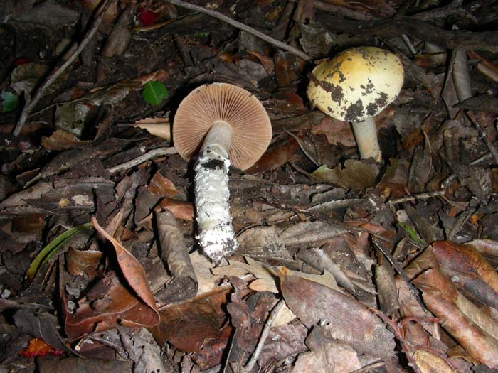 ritrovamenti del 21.12.07