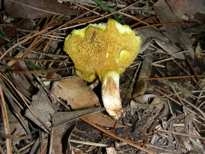 alcuni ritrovamenti del 28.12.07