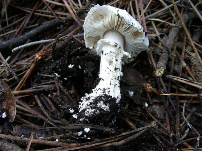 alcuni ritrovamenti del 28.12.07