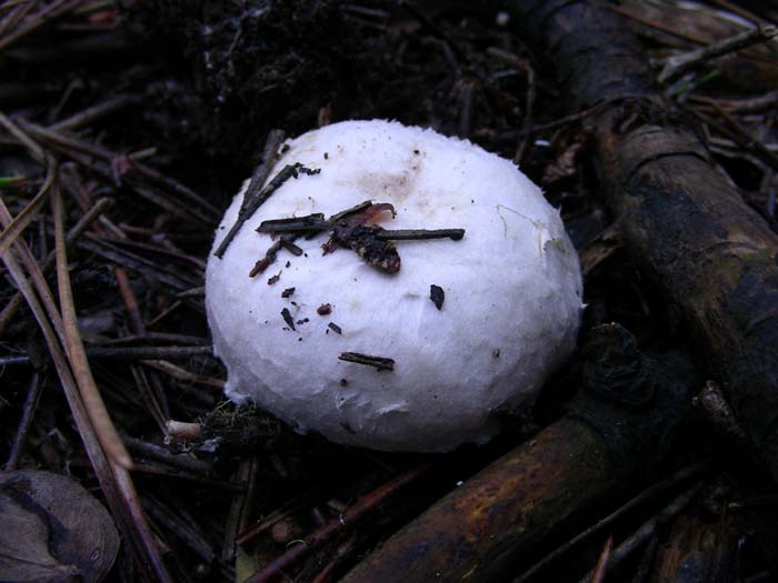 alcuni ritrovamenti del 28.12.07