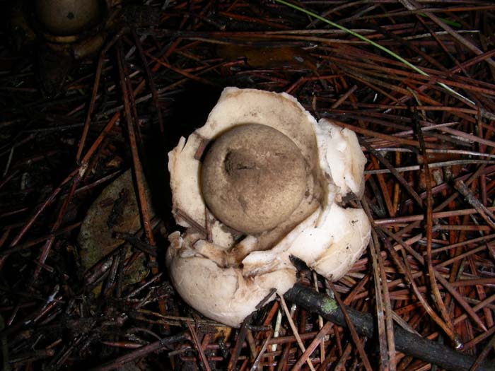 altri ritrovamenti del  8.01.08