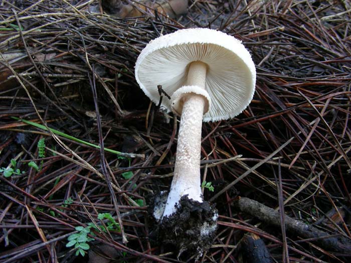 altri ritrovamenti del  8.01.08