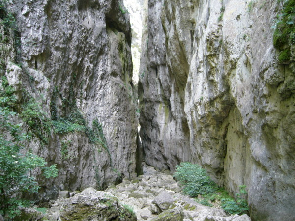 GOLE DI CELANO