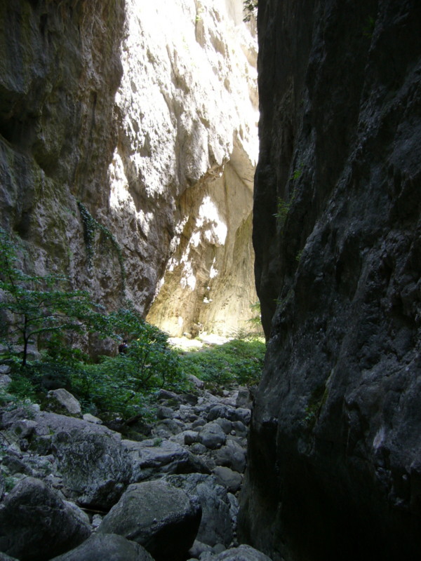 GOLE DI CELANO