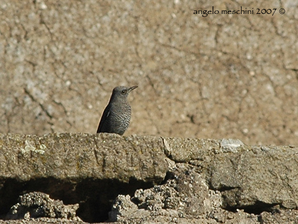 Scolpito nella roccia