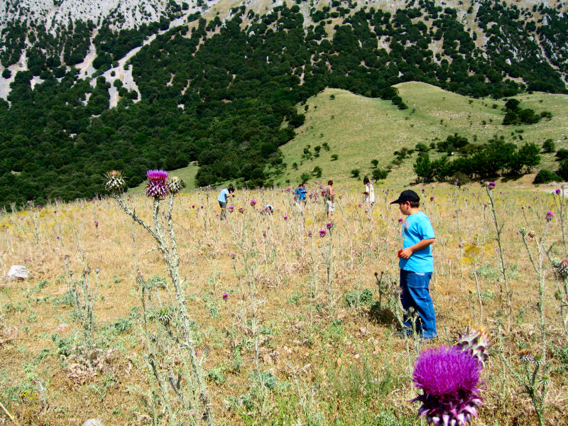 Qualche foto dalle Madonie