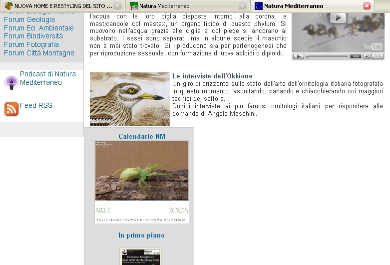 NUOVA HOME E RESTYLING DEL SITO